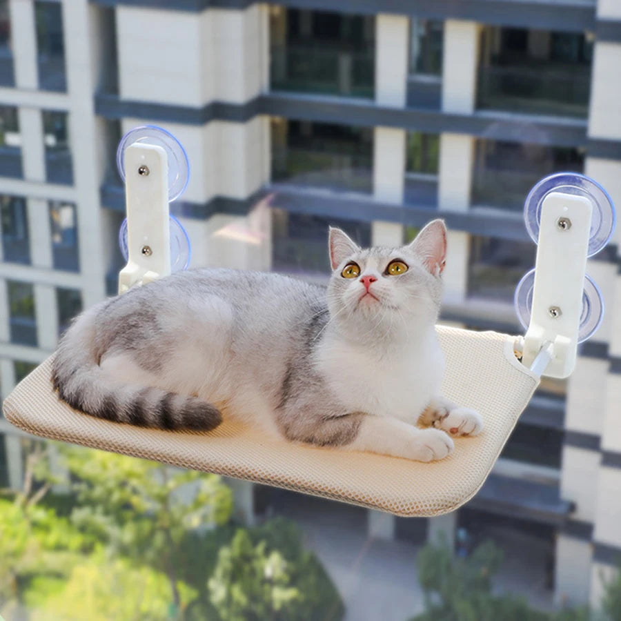 Assembly free folding cat hammock